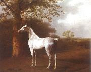 Jacques-Laurent Agasse White Horse in Pasture china oil painting artist